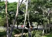 نهضت جمع آوری پسماندهای خشک در منطقه 4