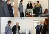 پیام شهروندان درباره موش ۱۲ درصد کاهش پیدا کرد