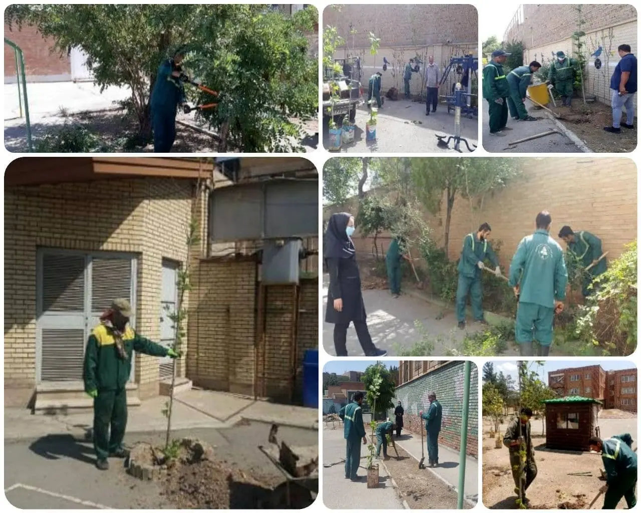 بازپیرایی فضای سبز 20 مدرسه در محدوده منطقه 15