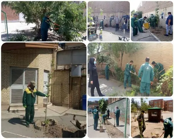 بازپیرایی فضای سبز 20 مدرسه در محدوده منطقه 15