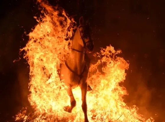 عبور از میان آتش با اسب + عکس