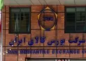کارمند پتروشیمی بوعلی‌سینا فاتح قله دماوند شد
