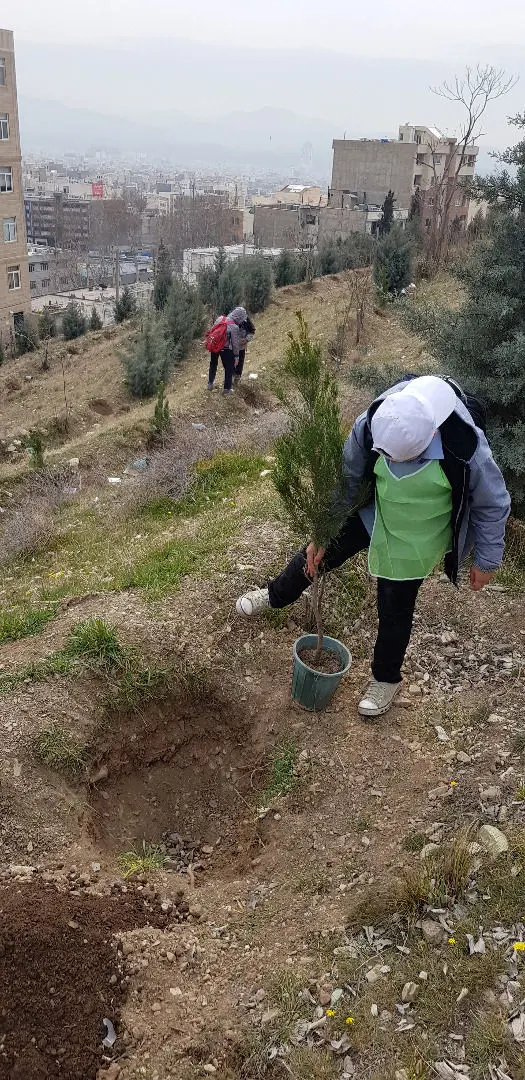 احداث دو هزار و پانصد متر مربع فرش گل در معابر شمال شرق تهران

