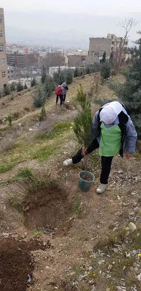 احداث دو هزار و پانصد متر مربع فرش گل در معابر شمال شرق تهران