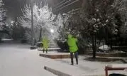 ۴۴۰ نیروی فضای سبز، عملیات برف تکانی درختان را انجام دادند