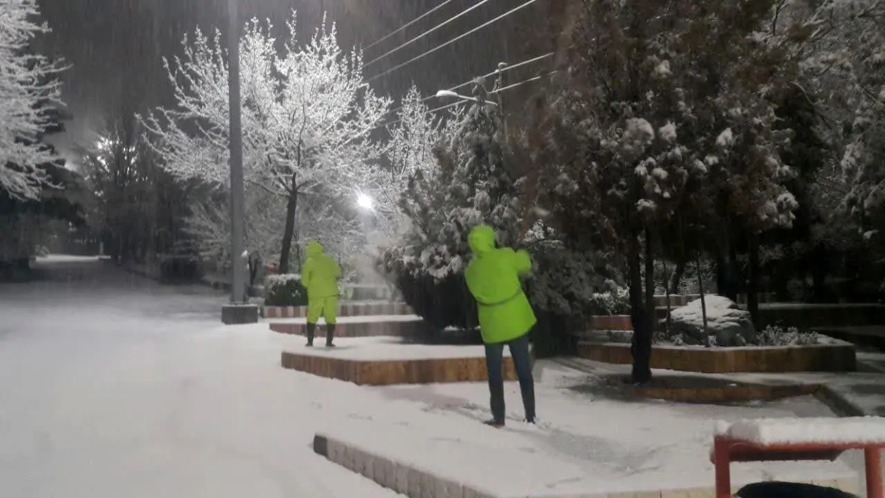 ۴۴۰ نیروی فضای سبز، عملیات برف تکانی درختان را انجام دادند