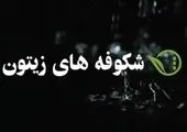 رئیس اسقف های ارتودکس مهمان «ضیف و حوار» 

