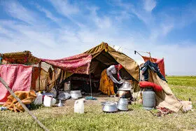 عشایر؛ بازیگران کلیدی در حفظ منابع ژنتیکی و تنوع زیستی کشور