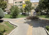 چهارشنبه های افراد دارای معلولیت در منطقه۱۳ آغاز شد 