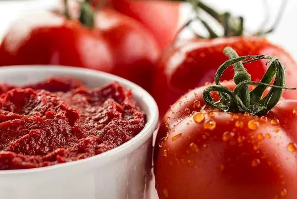 قیمت رب گوجهفرنگی کاهش مییابد