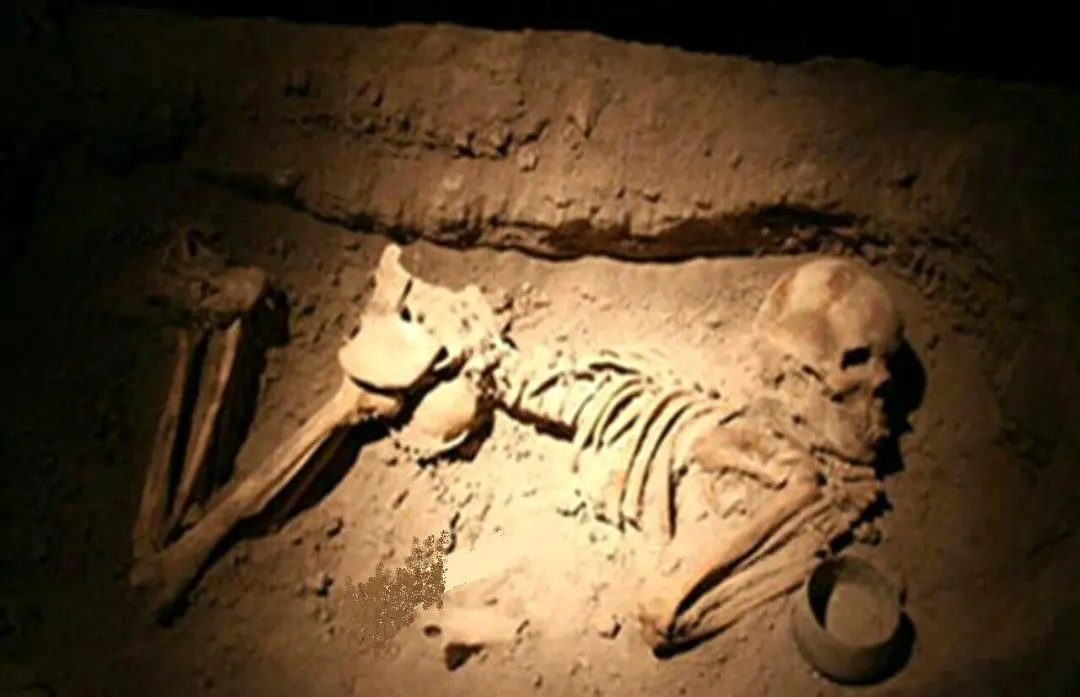 کشف آب و روغن در قبر انسان های قدیمی+عکس