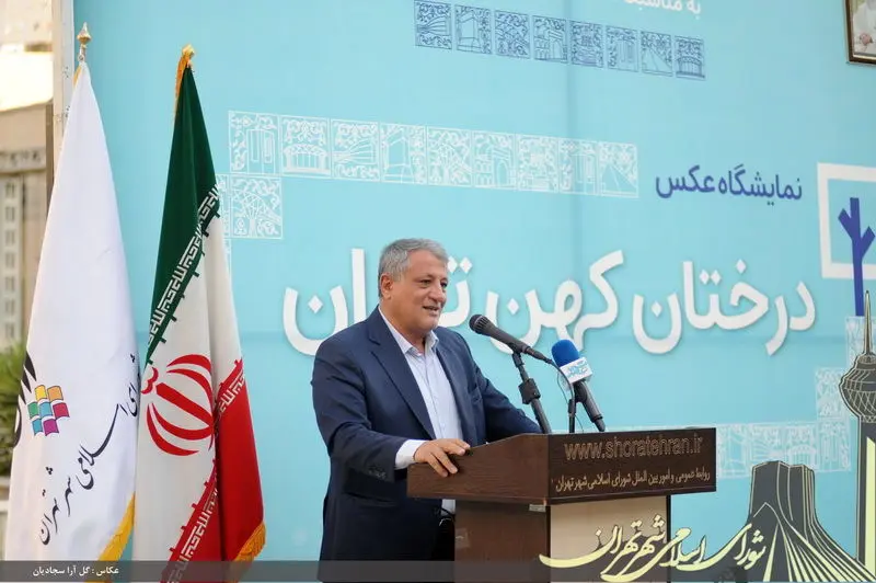 درختان کهنسال تهران، نشان سابقه و هویت این شهر هستند
