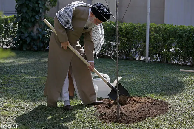 حفظ پوشش گیاهی باید جایگاه واقعی خود را در فرهنگ عمومی پیدا کند