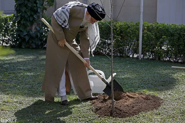 حفظ پوشش گیاهی باید جایگاه واقعی خود را در فرهنگ عمومی پیدا کند