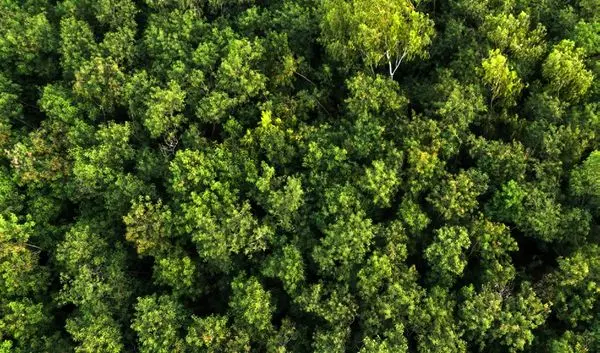 مروری بر اهداف زیست محیطی و فعالیتهای مسئولیت اجتماعی سامسونگ