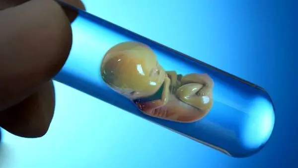 جنین فریز شده بهتر است یا جنین تازه؟