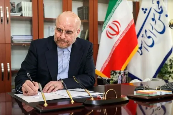 قانون الحاق ایران به CFT با نظر مجمع تشخیص اجرایی شد