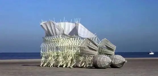 موجوداتی که با وزیدن باد زنده میشوند + عکس