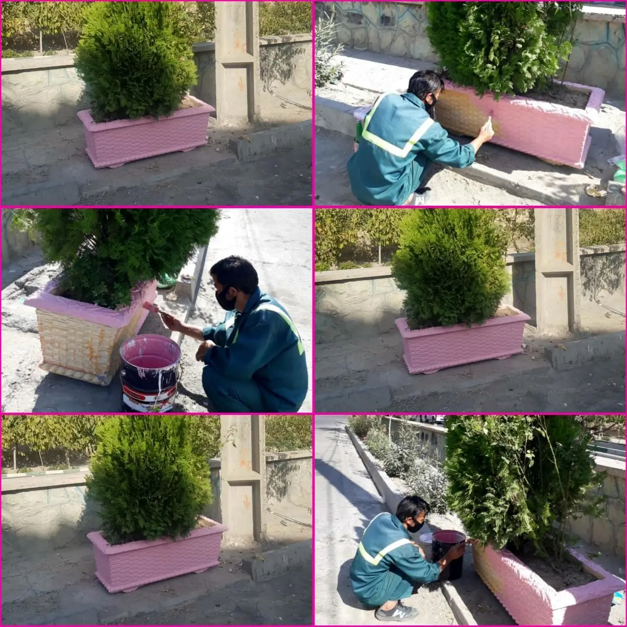 فلاورباکس ها جای مخازن زباله را در شهرک والفجر گرفتند 

