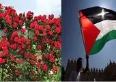 پانزده سال حصر غزه و بحران انسانی