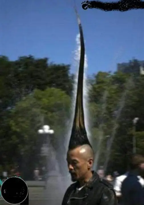 مرتفع ترین مدل موهای سر+عکس