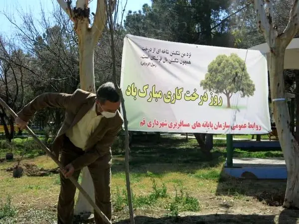 مراسم درختکاری در سازمان پایانههای مسافربری شهرداری قم برپا میشود