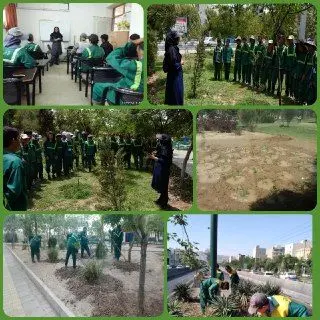 ‍ اجرای عملیات اصلاح و تشتک گذاری درختان منطقه15

