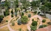 شروع پروژه‌های آماده‌سازی بوستان در محلات اراج و زعفرانیه/ ایجاد سه هکتار فضای سبز پایدار در منطقه یک

