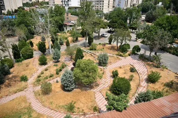 شروع پروژههای آمادهسازی بوستان در محلات اراج و زعفرانیه/ ایجاد سه هکتار فضای سبز پایدار در منطقه یک