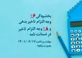 اجرای طرح بخشودگی جریمه تاخیر در بانک توسعه تعاون

