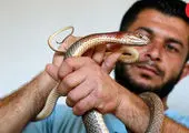 شهادت برادر، سخت‌ترین خبری که یک خبرنگار مخابره کرد + عکس