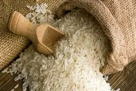 تشریح عوامل گرانی قیمت برنج