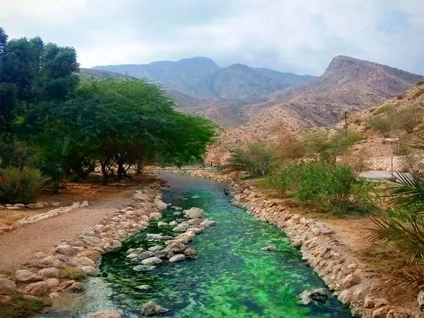 جنگلنوردی گزارشگر «ایران» در جنگلهای هیرکانی