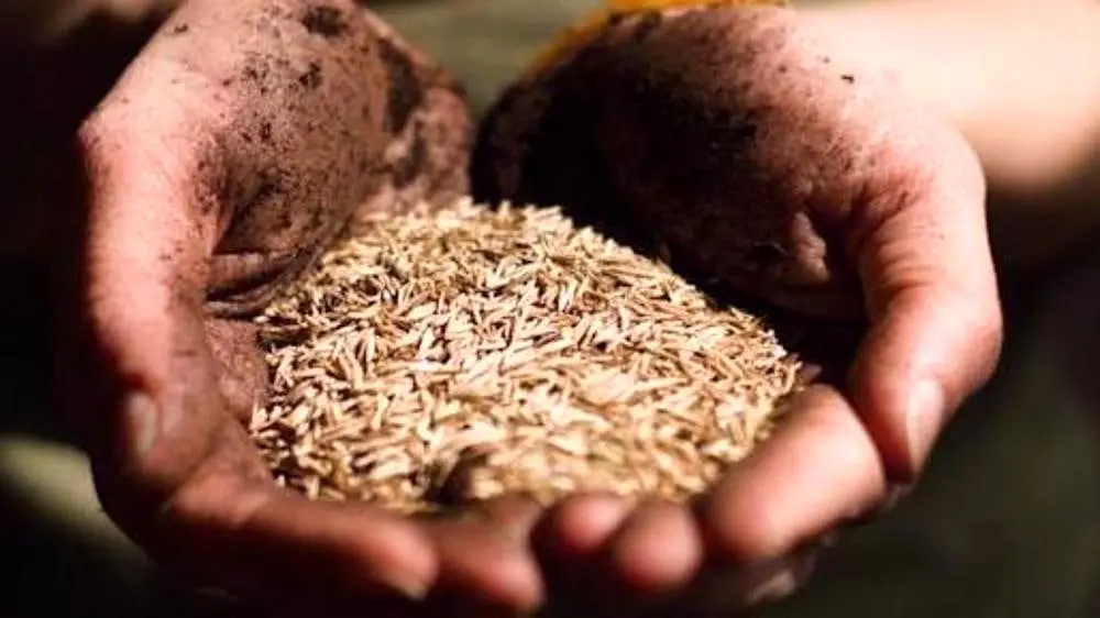 بحران غذایی جهان در «شکاف اقتصادی» هیسپان تی‌وی