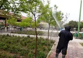 ضدعفونی روزانه پارک ها و بوستان ها در محله های مرکزی شهر تهران 

