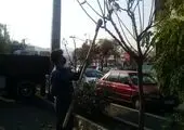اجرای مانور آمادگی کامل ستاد برف روبی منطقه ۱۶ با مشارکت پلیس راهور