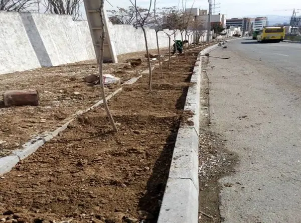 اجرای طرح نهضت درختکاری در منطقه2 با کاشت بیش از 38 هزار اصله نهال

