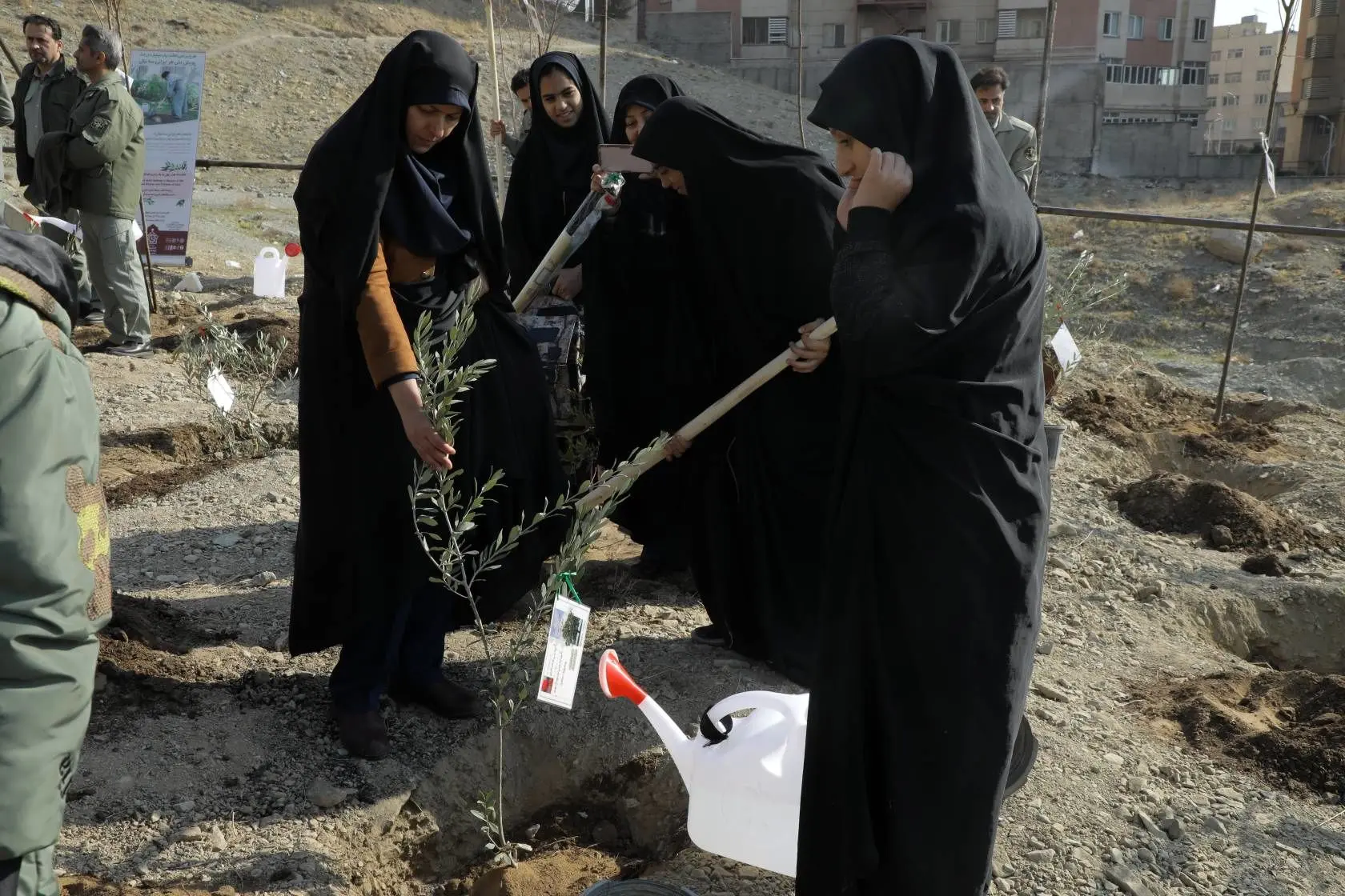 غرس نهال به یاد زنان و کودکان شهید غزه در ارتفاعات منطقه2 
