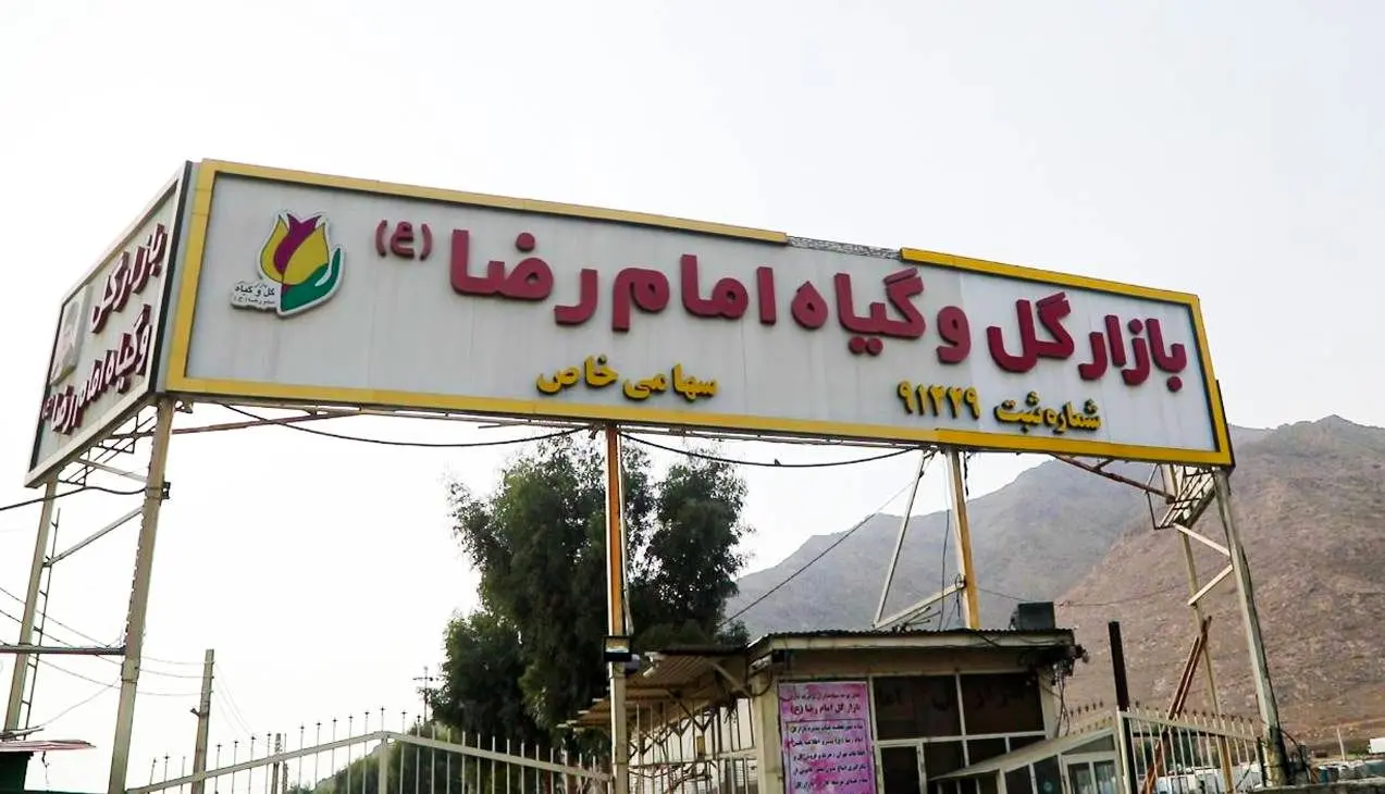 بازار گل امام رضا (ع) همچنان تهدیدی برای جان شهروندان منطقه ۱۵

