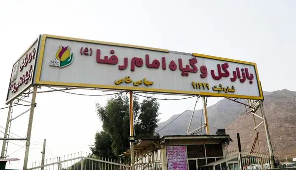 بازار گل امام رضا (ع) همچنان تهدیدی برای جان شهروندان منطقه ۱۵
