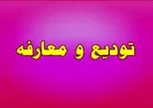 شرکت آماده عرضه اولیه اطلاعات جدید داد