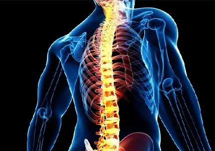 عکس/ تاثیر باورنکردنی کیف پول، روی ستون فقرات شما در زمان نشستن!