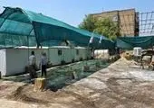  استقرار تیم های تخصصی جهت راه اندازی و توسعه سایه بان  در چذابه 

