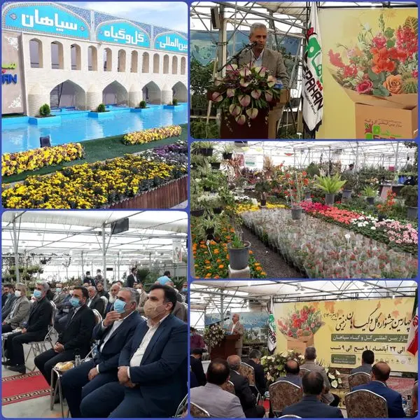 حوزه گل و گیاه قابلیت صادرات بیش از ۱۰ میلیارد دلار را دارد
