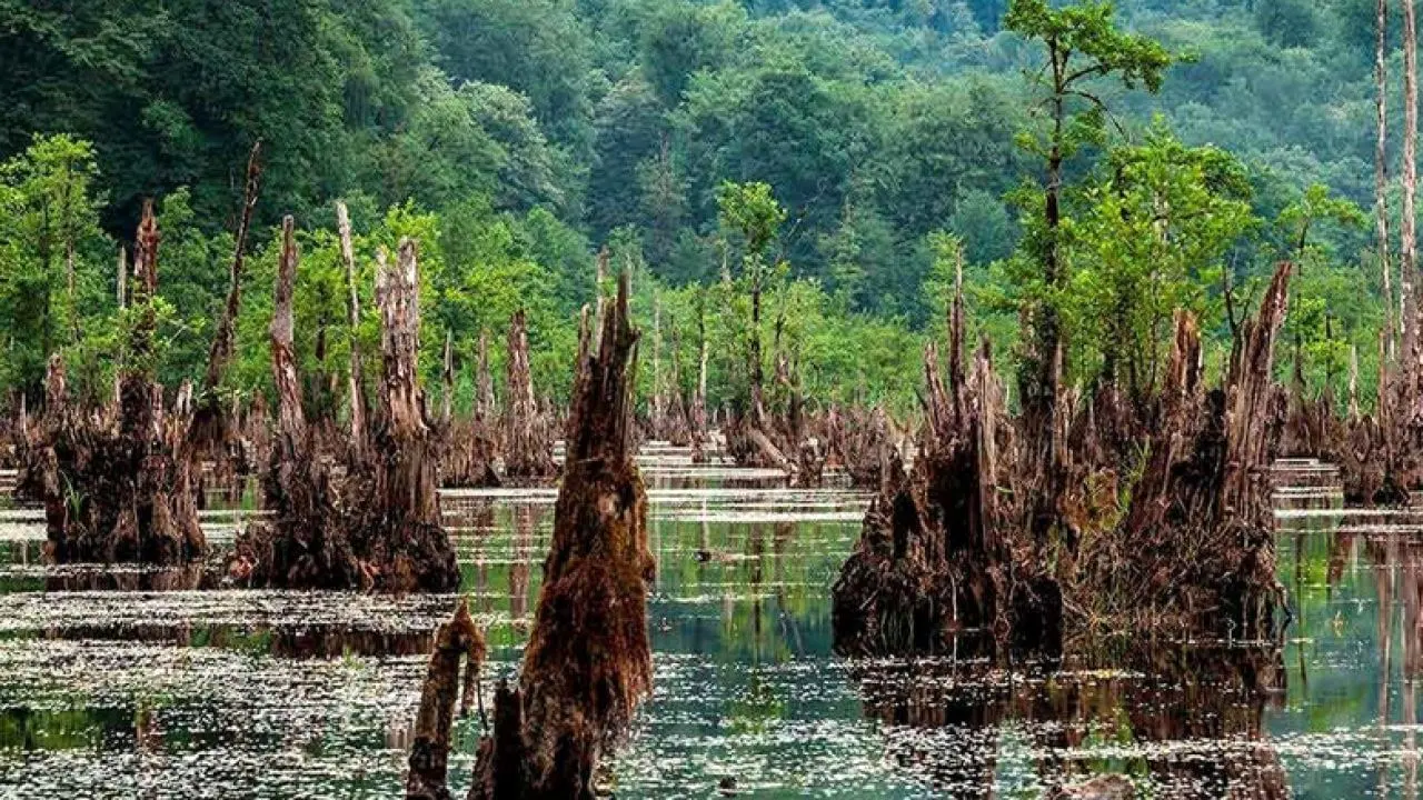 دف‌نوازی در دریاچه ارواح مازندران

