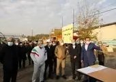 درختان به استقبال فصل زمستان می روند