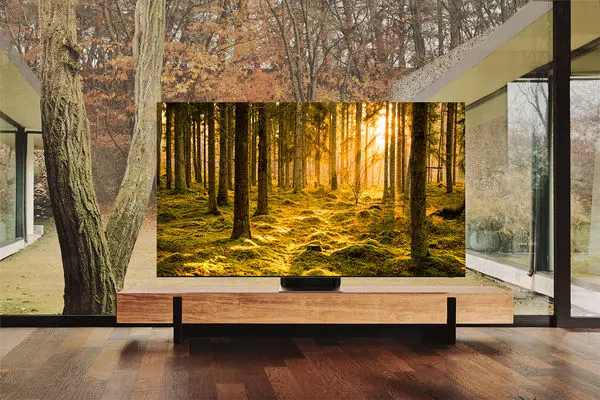 هنر دیجیتال خود را با تلویزیونهای Neo QLED 8K سامسونگ متحول کنید