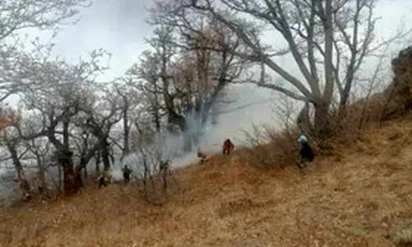 ادامه عملیات امدادی در آتش‌سوزی جنگل‌های الیت چالوس
