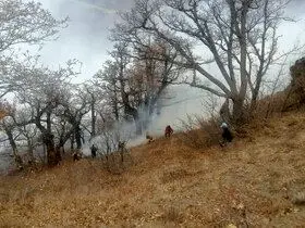 ادامه عملیات امدادی در آتش‌سوزی جنگل‌های الیت چالوس