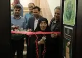 برگزاری دومین همایش ملی ورزش و محیطزیست در آکادمی ملی المپیک